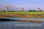 Reisfelder bei Morondava